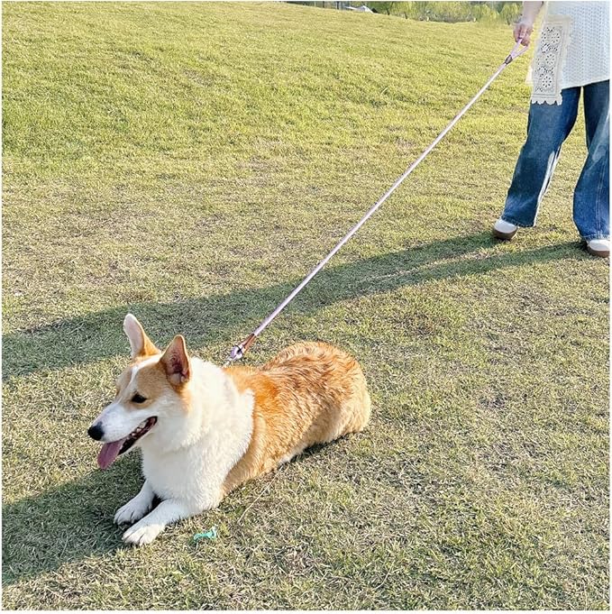 MayPaw 6/8 /10 FT Dog Leash, Classic Solid Colors, Strong Nylon Rope Dog Leash Reinforced with Leather Tailor Connection Heavy Duty Silver Clasp (Purple, 6ft*1/2")