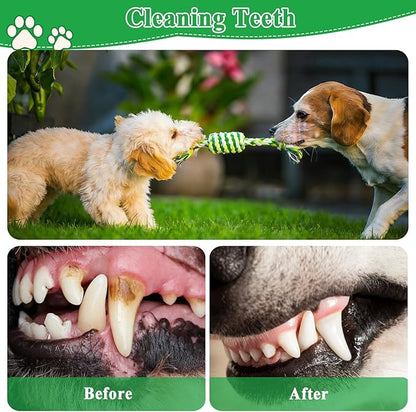 ASOCEA 5 Pack Dog Rope Toys Cotton Puppy Teething Chew Toys for Small Medium Dogs Interactive Tug Toy for Training Fetching Boredom Relief（Green）
