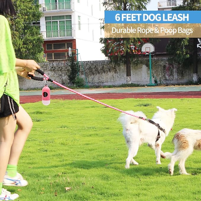BAAPET 2/4/5/6 FT Dog Leash with Comfortable Padded Handle and Highly Reflective Threads for Small Medium and Large Dogs (6FT-1/2'', Pink)