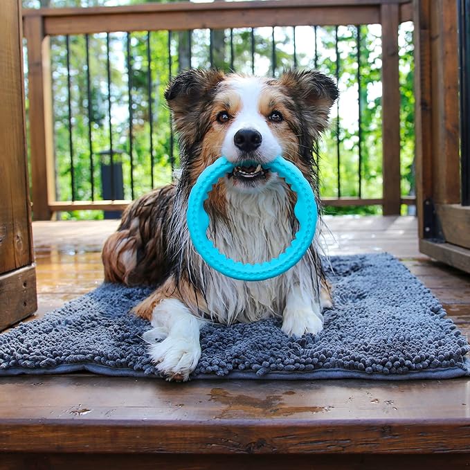 Messy Mutts Totally Pooched Chew n' Tug Ring | TPR Dog Toy | Made for Tough Chewers | Tough Fetch Ring for Dogs | 6.5” | Teal