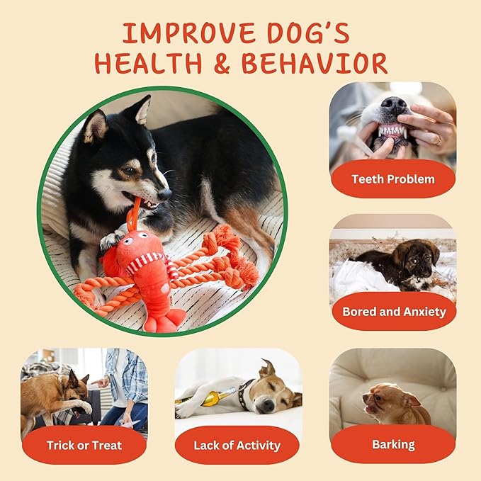 Squeaky Dog Toys, Rope Tug of War Dog Toys, Durable Lobster Plush Chew Toys, Dog Gifts for Puppy, Small Medium Large Dogs