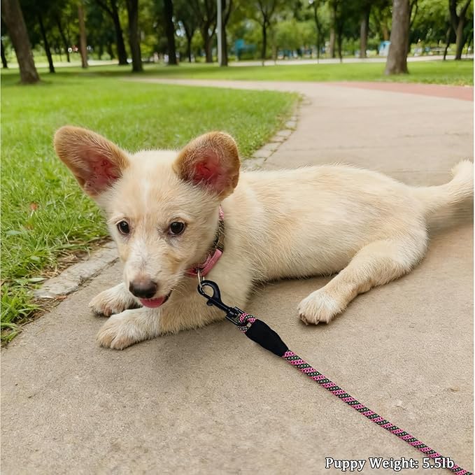WYuZe 5ft Puppy Leash for Small Dogs, 1/4" Thin Rope Dog Leash with Easy to Use Hook, Chihuahua/Yorkie/Toy Breed Lightweight Cat Leashes, 10 Colors, Pink Green