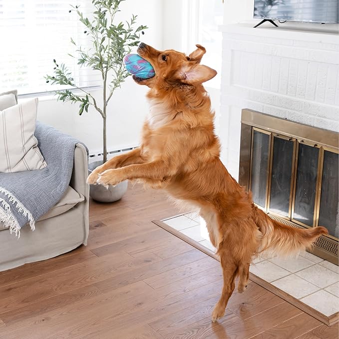 Outward Hound Grunt N' Punt Football Dog Toy - Throwing, Fetching Fun