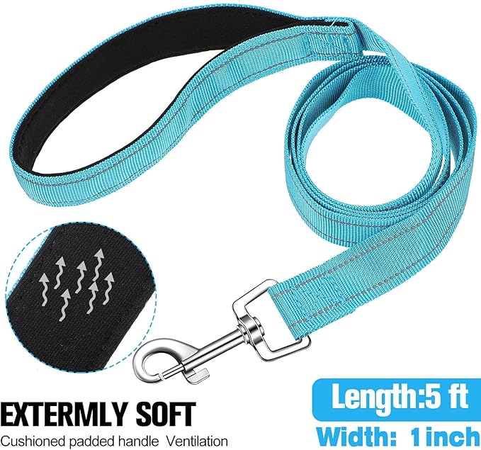6 Pieces Dog Leash Bulk for Medium and Large Dog, Heavy Duty Nylon Pack Dogs Leashes Padded Handle Double Sided Reflective Puppy Collar for Walking, Training, 5 Feet(Classic)