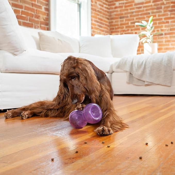 Outward Hound Double Snoop Interactive Treat Dispensing Dog Toy, Puzzle Ball Slow Feeder for Medium to Large Dogs, Mint-Scented for Mental Stimulation & Boredom Relief, 6in x 4in
