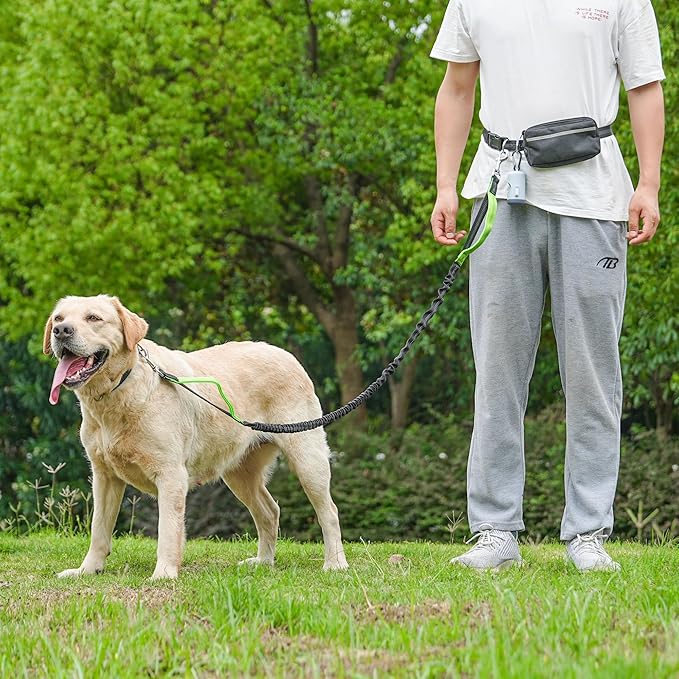 Hands-Free Dog Leash for Dogs up to 130 lbs – Heavy-Duty, Shock-Absorbing Bungee Leash with Zipper Pouch, Dual Padded Handles & Adjustable Waist Belt for Running & Walking – Neon Green