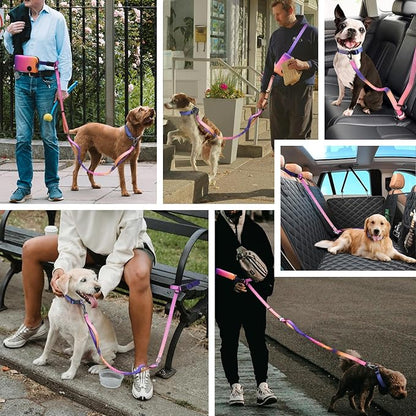 Roses&Poetry Hands Free Dog Leash with Zipper Pouch, 6-9ft Bungee Waist Leash for Medium Large Dogs Walking, Running Lead with Dual Padded Handles Car Safety Buckle for Training Jogging