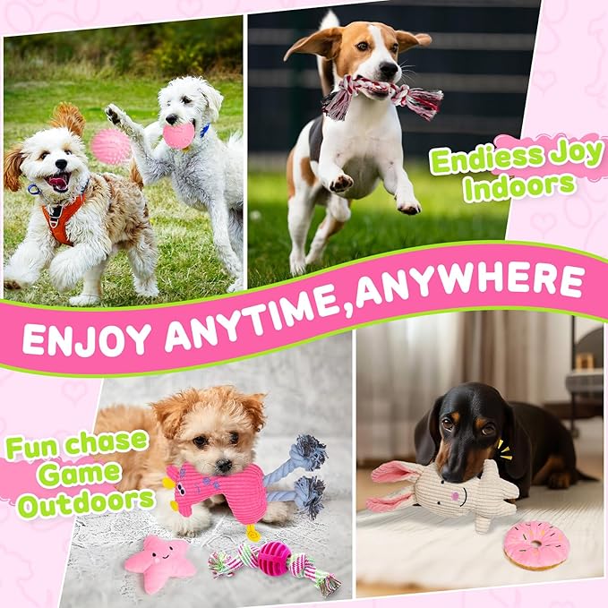 8 Pack Luxury Puppy Toys for Teething Small Dogs, Puppy Chew Toys with Squeaky Dog Toys, Balls and Rope Dog Chew Toys, Dog Toys to Keep Them Busy (Pink, 8-Pack)