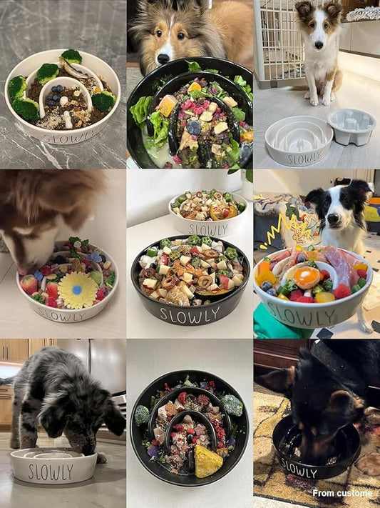 Ceramic Puzzle Slow Feeder Dog Bowl - 0.6 Cup Elevated with Wood Stand for Small Breeds, Black