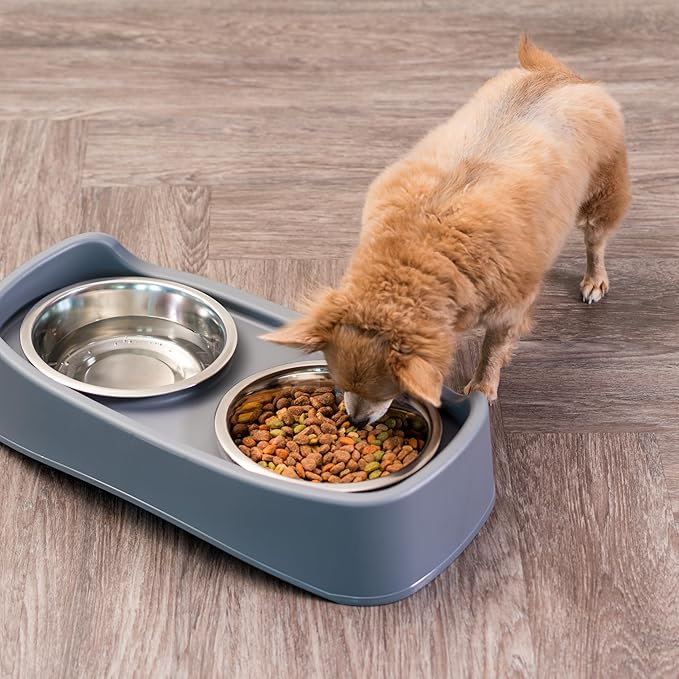 IRIS USA Adjustable Elevated Dog Bowls, Raised Feeder with 2 Stainless Steel 64 oz Bowls, Spill-Guard Rim, 12.25" or 4.63" Heights, Durable Plastic, Made in USA, Dark Gray