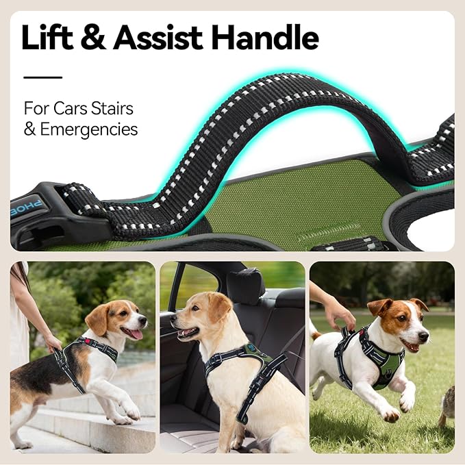 PHOEPET No Pull Dog Harness with Handle Front & Back Clip, Easy on Lockable Snap Buckle at Neck, Adjustable Reflective Vest with Handle for Small Medium Large Dogs (S, Misty Green)