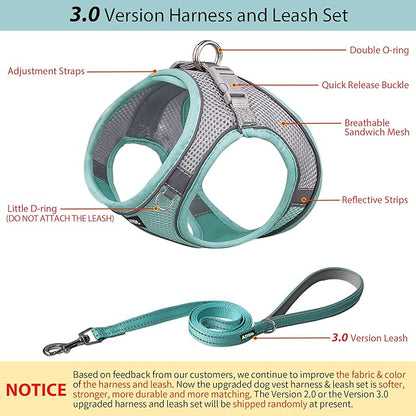 AIITLE Small Harness for Puppy with A Leash - Dog Vest Harness with Super Breathable Mesh, Reflective No-Pull Pet Harness for Outdoor Walking, Running for Small Dogs, Cats Turquoise XXS