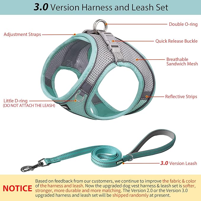 AIITLE Comfortable Dog Harness and Leash Set for Walking - Step in Vest Harness,Reflective Bands, Adjustable No Pull Puppy Essentials, for Small Dogs and House Cats Turquoise XS