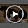 【Material Upgrade】 Famifit 50.8" Plant Cat Scratching Post, Tall Cat Tree - Image 7