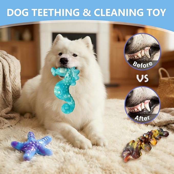 Dog Toys for Aggressive Chewers,3 Pack Indestructible Bone Toy, Ocean Series,Bacon Flavored,Durable Nylon Chew Toys for Medium & Large Breeds, Teeth Cleaning, Keep Them Busy