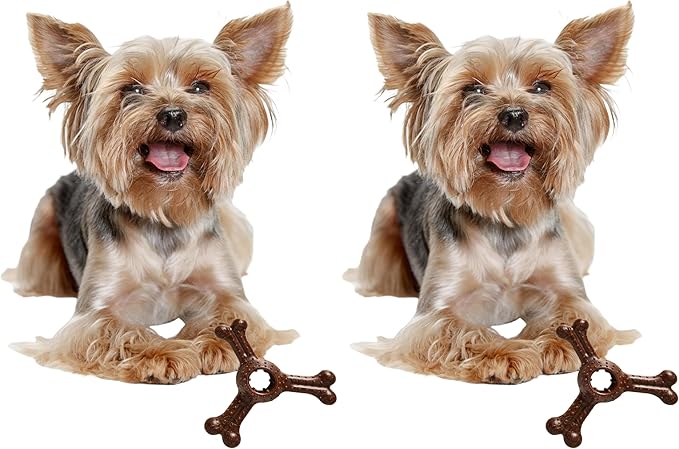 SPOT Bam-Bones Plus Triple Chew - Bamboo Fiber & Nylon, Durable Long Lasting Dog Toy for Aggressive Chewers – Great for Adult Dogs & Teething Puppies Under 30lbs, Non-Splintering, 4in, Bison Flavor