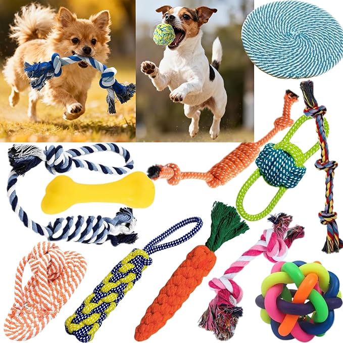 Pack Pet 11 Pack Dog Toys for Puppies, Small Dogs & Medium Dogs, Durable Dog Chew Toys, Interactive Rope Toys for Teething, Puppy Teething Toys for Dental Health, Dog Toys Variety Set for Boredom