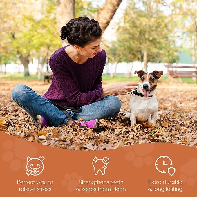 Wildfang® Briar Wood Chewing Root, Small - Splinter Free Wood Dog Chew Toys for Aggressive Chewer, Odorless Natural Teething Toys Dogs Dental Health, Healthy Gums (for Dogs Under 33 lbs), Pack of 3