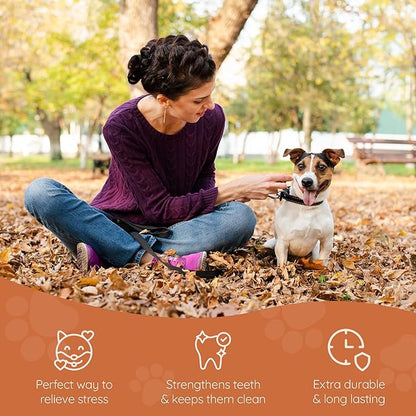 Wildfang® Briar Wood Chewing Root, Small - Splinter Free Wood Dog Chew Toys for Aggressive Chewer, Odorless Natural Teething Toys Dogs Dental Health, Healthy Gums (for Dogs Under 33 lbs), Pack of 3
