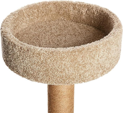 Amazon Basics Cat Tree - Multi-Level Climbing Activity Tower with Jute Rope Scratching Posts for Indoor Cats & Kittens, Medium (31.5"H), Beige