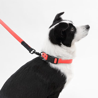 WLK1006M-5SET Luna Large 8FT Adjustable 6-in-1 Waterproof Hands-Free Leash and Collar with LED Flashlight, Bag Dispenser, and Poop Bag Holder, Shirley