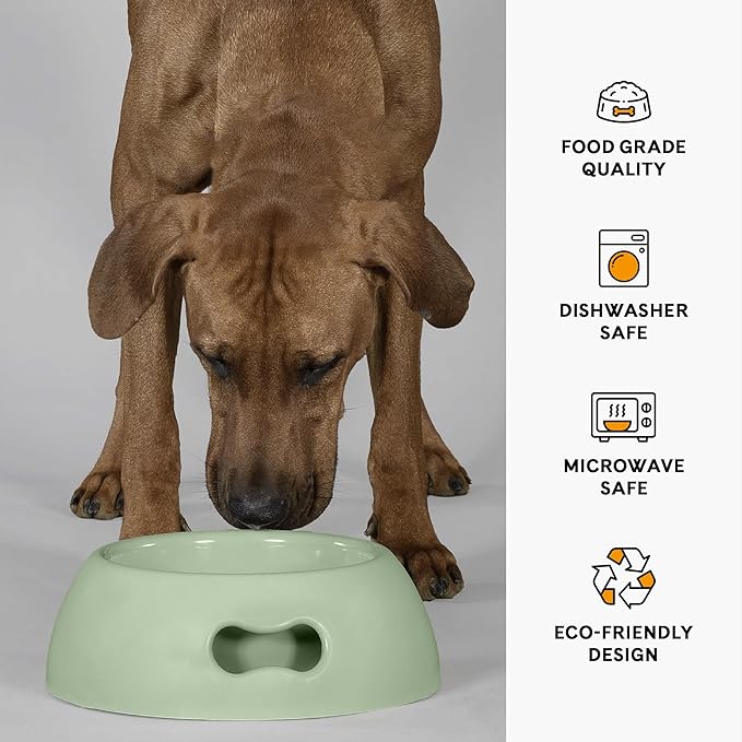 United Pets Pappy Dog Bowl for Dogs and Cats | BPA Free Premium Water and Food Pet Bowls Feeder for Small to Medium Pets | Eco Friendly & Pet Safe Food Grade Materials | Made in Italy | Green -12 Oz