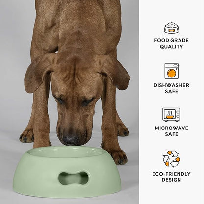 United Pets Pappy Dog Bowl for Dogs and Cats | BPA Free Premium Water and Food Pet Bowls Feeder for Small to Medium Pets | Eco Friendly & Pet Safe Food Grade Materials | Made in Italy | Green -12 Oz