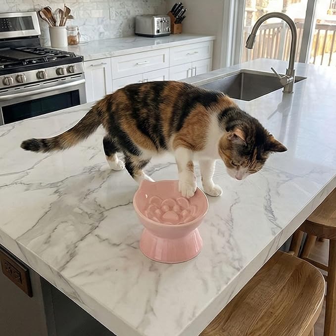 Macarons Series Ceramic Slow Feeder Cat Bowl, Raised Puzzle Feeder, Anti Vomiting Cat Slow Feeding, Elevated Food Bowl, Whisker Friendly Pet Bowl with Cute Ear Design (Gradient Pink)