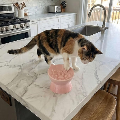 Macarons Series Ceramic Slow Feeder Cat Bowl, Raised Puzzle Feeder, Anti Vomiting Cat Slow Feeding, Elevated Food Bowl, Whisker Friendly Pet Bowl with Cute Ear Design (Gradient Pink)