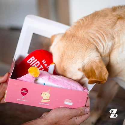ZippyPaws Birthday Box - Dog Squeaky Toys to Keep Them Busy, Funny Food Plush for Small, Medium, & Large Dogs, Cute Stuffed Puppy Toy & Hat, Pet Products, Gift for Dogs of All Breeds - 3-Pack, Pink