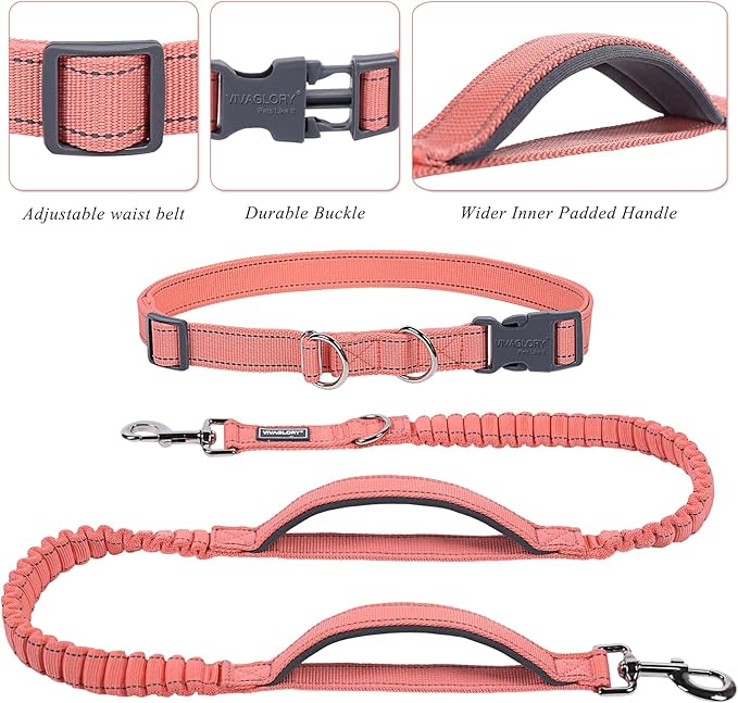 VIVAGLORY Hands Free Dog Leash Bungeetwin Running Dog Leash with Waist Belt for Running Walking & Jogging, Bungee & Around Waist for Pet, S, Pink/Grey