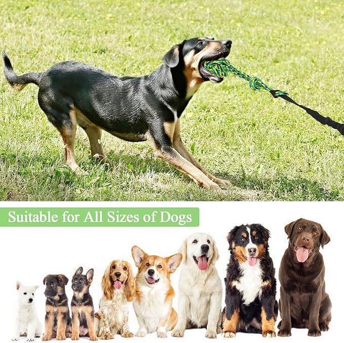 Dog Bungee Tug Toy,Interactive Outdoor Tether Ball Rope Toy with Stake for Small & Medium Dogs, Durable Tug of War Toy for Yard, Park, Camping