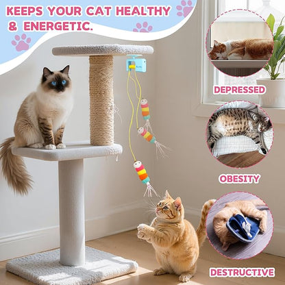Interactive Cat Toy for Indoor Cat, Automatic Door Hanging Cat Toy with Detachable Design, Kitten Toys for Indoor Cats Self Play, 3.27 * 1.69 * 2.76Inch (Sky Blue)