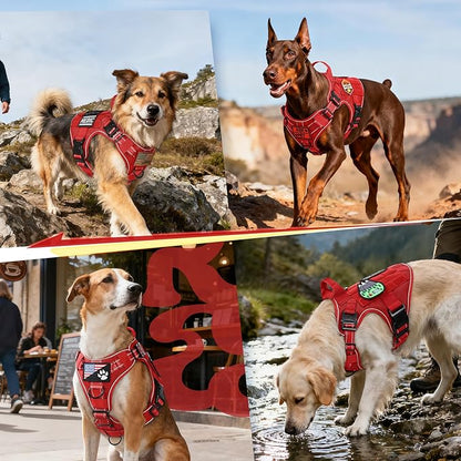rabbitgoo Tactical Dog Harness Small Sized, No Pull Upgraded Reflective Heavy Duty Molle Vest with Handle, Adjustable Military Service Dog Vest for Walking Hiking Training, Red, S