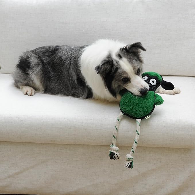 Green Sheep Rope Toy for Dogs, Durable Squeaky Dog Toys for Small Medium Large Dogs, Interactive Plush Fabric Chew Toy with PP Cotton & Recycle Cotton Rope, Tough Stuffed Animals to Keep Them Busy