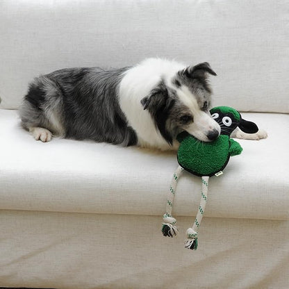 Green Sheep Rope Toy for Dogs, Durable Squeaky Dog Toys for Small Medium Large Dogs, Interactive Plush Fabric Chew Toy with PP Cotton & Recycle Cotton Rope, Tough Stuffed Animals to Keep Them Busy