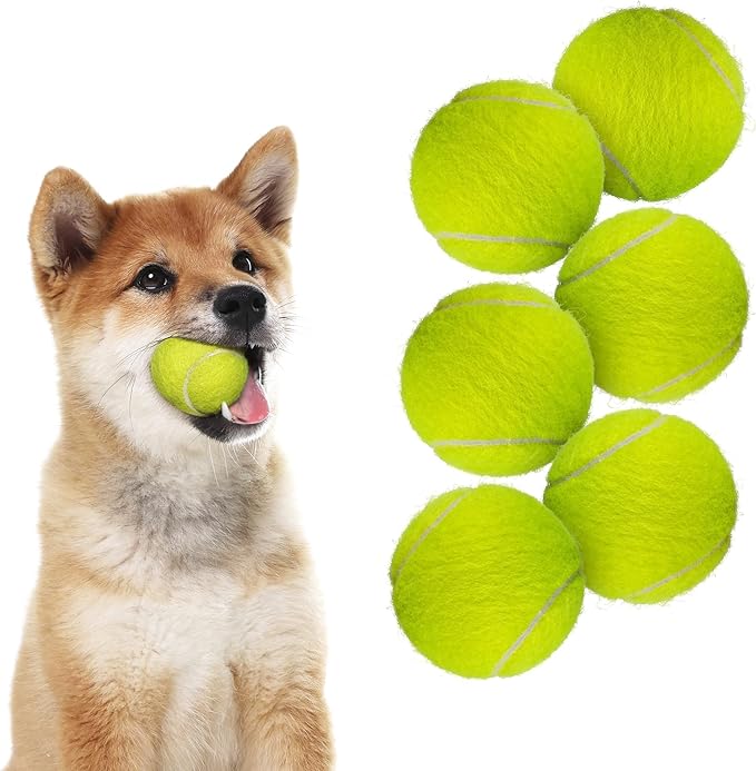 ALL FOR PAWS 2-inch Tennis Balls for Dogs, Fetch Toys for Small Medium Dogs, Bouncy & Durable Tennis Balls for Ball Launcher Toy, 6 Pack Fetch Toy for Outdoor Play