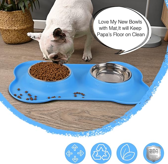 Dog Bowls 2 Stainless Steel Bowl for Pet Water and Food Feeder with Non Spill Skid Resistant Silicone Mat for Pets Puppy Small Medium Cats Dogs