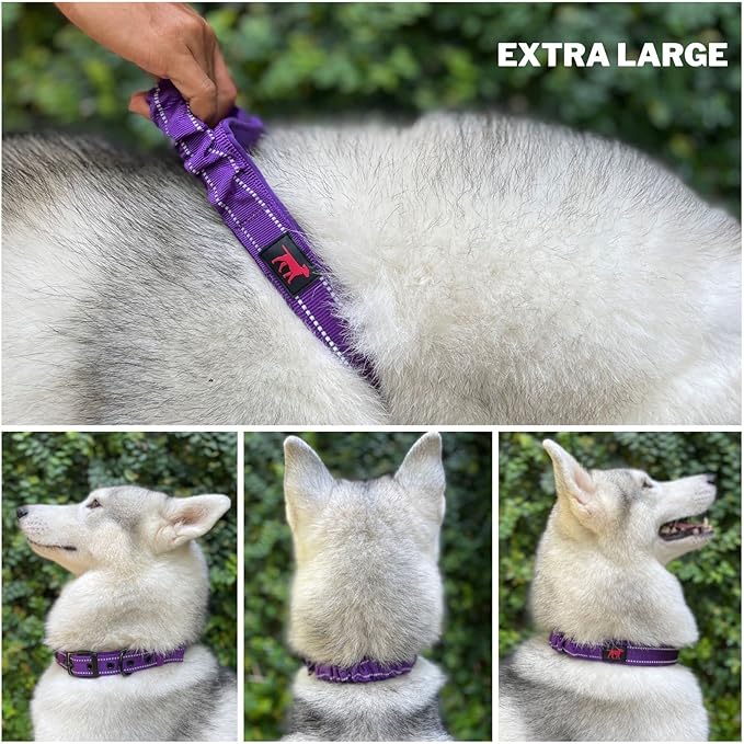 Heavy Duty Dog Collar with Handle | Ballistic Nylon Heavy Duty Collar | Padded Reflective Dog Collar with Adjustable Stainless Steel Hardware | Convenient Sizing for All Breeds X-Large (19-23" Neck)