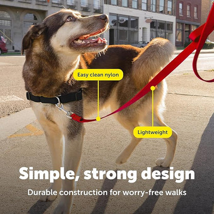 PetSafe Nylon Leash - Chew-Resistant Cat & Dog Behavioral Training Leash - Compatible with Easy-Walk Harness - Traditional-Style Reliable Pet Lead with a Padded Hand Wrap - 3/4" x 4' - Red