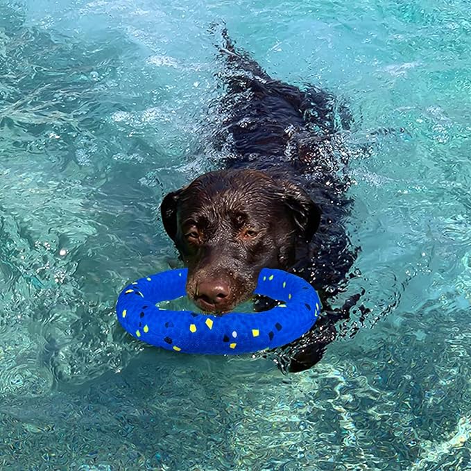 BABORUI Floating Dog Pool Toy – Durable E-TPU Dog Water Toy for Fetch & Chew, Bright Floating Dogs Toys for Pool, Beach & Outdoor Play – Dogs Beach Essentials (Blue Ring)