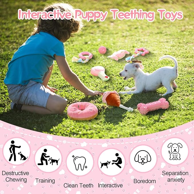 14 Pack Puppy Teething Toys, Chew Toys for Small Dogs Puppy Toys Pink Dog Stuff with Soft Rubber Balls and Colorful Ropes for Small Breed Interactive Accessories(Pink)