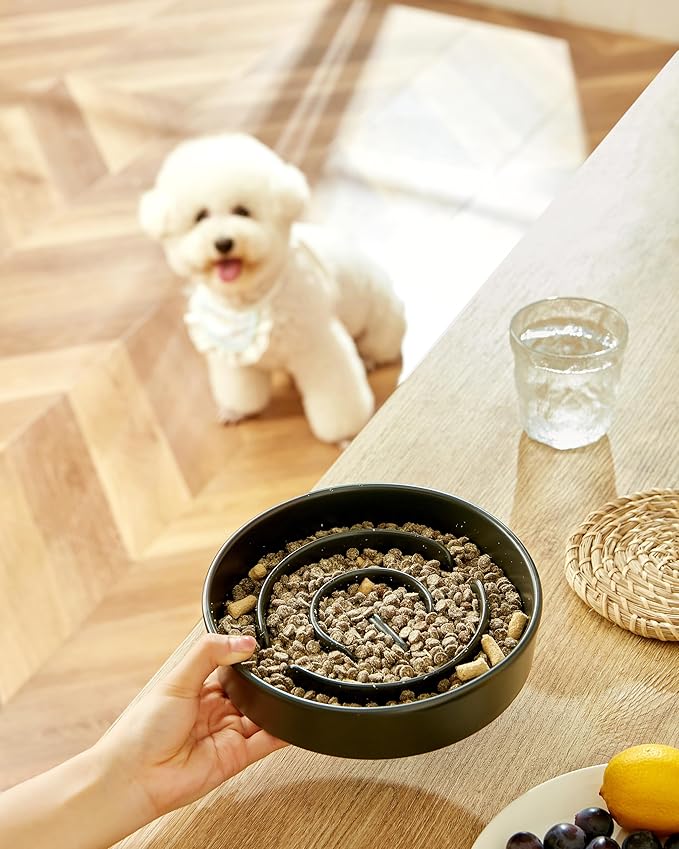 Ceramic Slow Feeder Dog Bowls, 2.0 Cups Slow Feeder for Medium Dogs, Puzzle Maze Bowl to Slow Down Eating, 30oz, 8in, Black