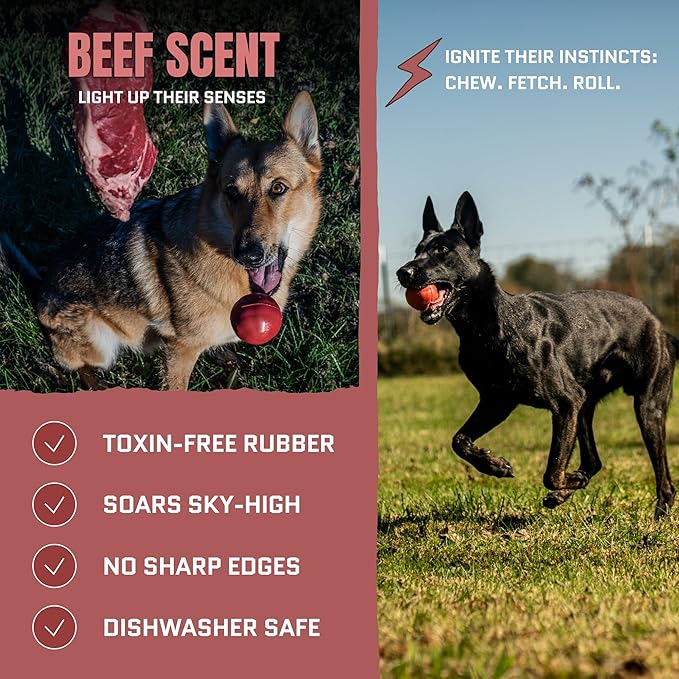 Virtually Indestructible Dog Ball - Lifetime Replacement - Tough, Durable Chew Toy for Aggressive Chewers - Safe Non-Toxic Natural Rubber - Chew & Fetch - Med/Large Breed, 3" - Beef Scent