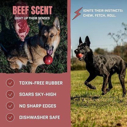 Virtually Indestructible Dog Ball - Lifetime Replacement - Tough, Durable Chew Toy for Aggressive Chewers - Safe Non-Toxic Natural Rubber - Chew & Fetch - Med/Large Breed, 3" - Beef Scent