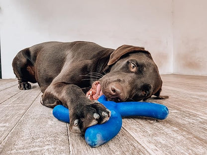 Tuff Pupper SuperChewer Tough Boomerang Toy | Lifetime Replacement | Strong Natural Rubber | Great Dog Fetch Toy | Toys for Dogs | Ultra Durable Chew Toys for Aggressive Chewers | for Large Breeds