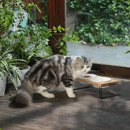 FUKUMARU Elevated Cat Ceramic Bowls, Small Dog Raised Food Feeding Dishes, Solid Wood Water Stand Feeder Set for Cats and Puppy