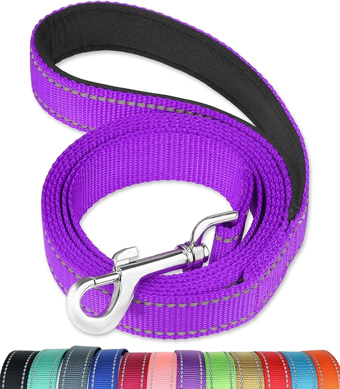 FunTags 6FT Reflective Dog Leash with Soft Padded Handle for Training,Walking Lead for Large & Medium Dog,1 Inch Wide,Purple