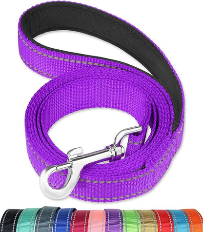 FunTags 6FT Reflective Dog Leash with Soft Padded Handle for Training,Walking Lead for Large & Medium Dog,1 Inch Wide,Purple
