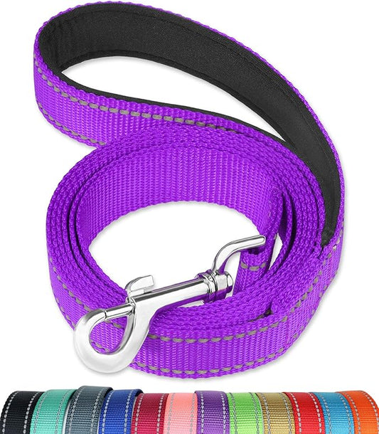 FunTags 6FT Reflective Dog Leash with Soft Padded Handle for Training,Walking Lead for Medium & Small Dogs,3/4 Inch Wide,Purple